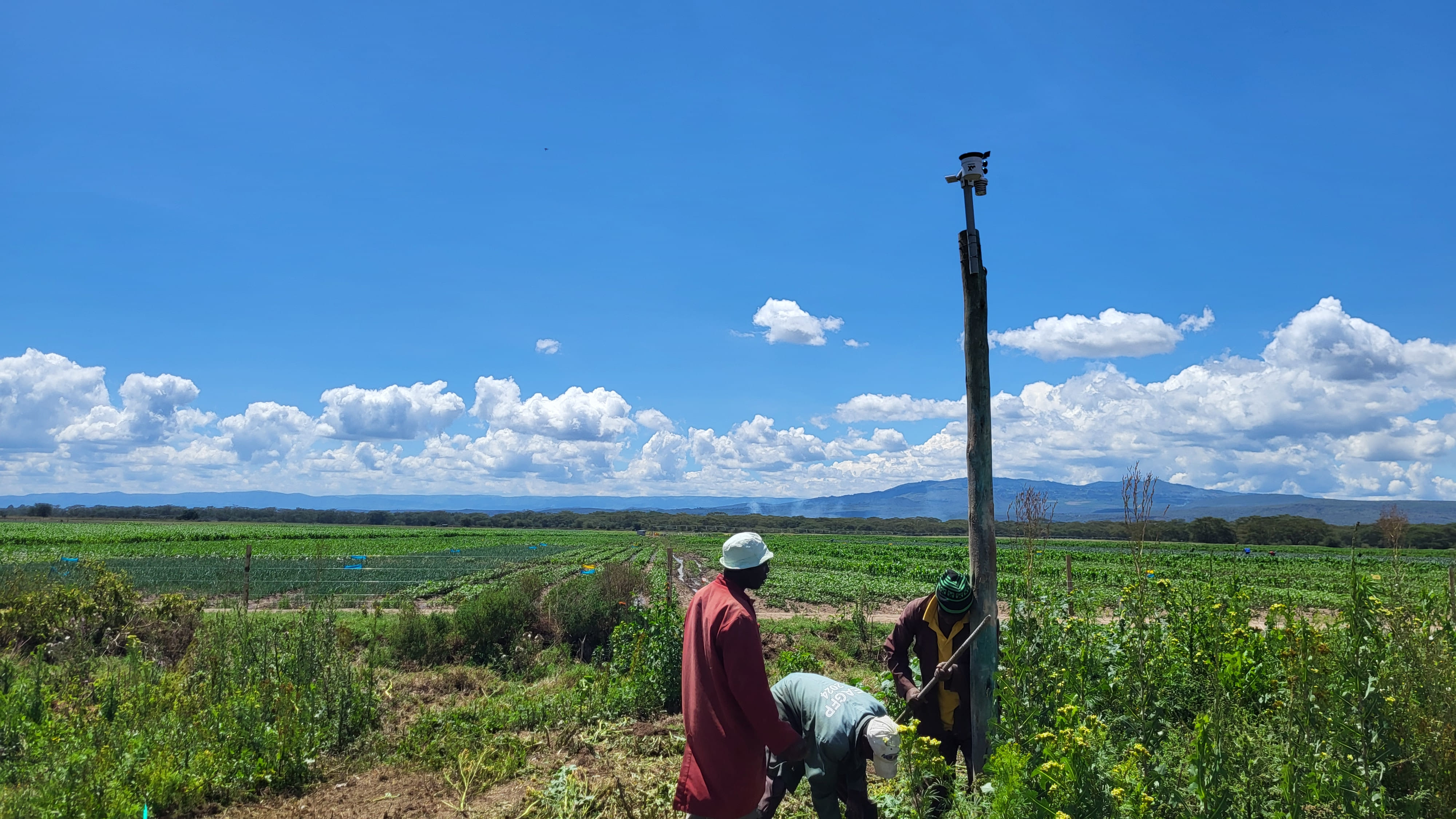 Weather station deployment in field